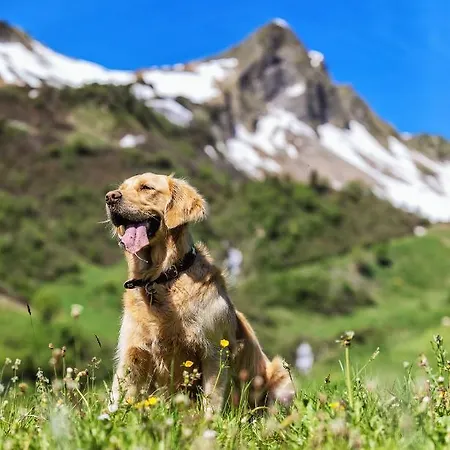 Natur-genuss-hotel Sonnasita 4* Faschina